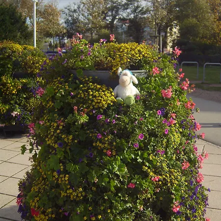 Ostseestern Hotel Ostseebad Kühlungsborn