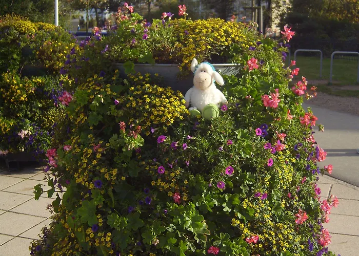 Ostseestern Hotel Ostseebad Kühlungsborn